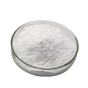 ایوبینزون
